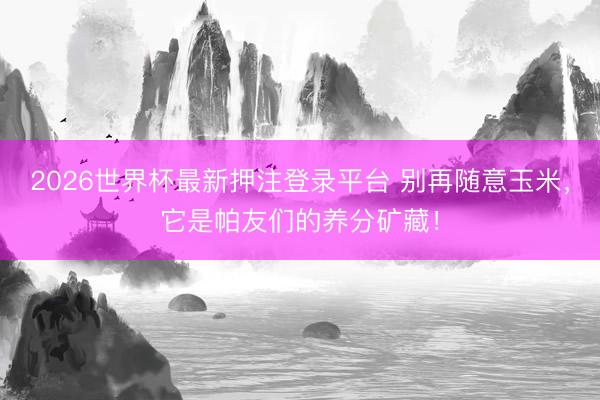 2026世界杯最新押注登录平台 别再随意玉米,它是帕友们的养分矿藏!