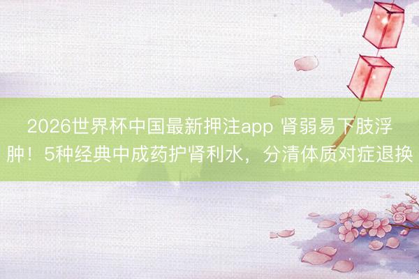 2026世界杯中国最新押注app 肾弱易下肢浮肿！5种经典中成药护肾利水，分清体质对症退换