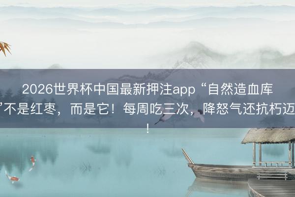 2026世界杯中国最新押注app “自然造血库”不是红枣，而是它！每周吃三次，降怒气还抗朽迈!