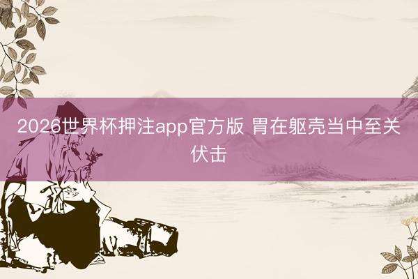 2026世界杯押注app官方版 胃在躯壳当中至关伏击