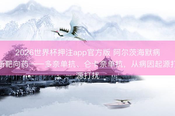 2026世界杯押注app官方版 阿尔茨海默病全新靶向药——多奈单抗、仑卡奈单抗，从病因起源打扰