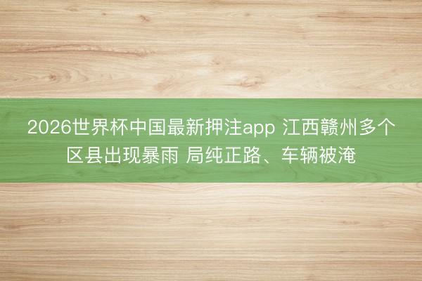 2026世界杯中国最新押注app 江西赣州多个区县出现暴雨 局纯正路、车辆被淹