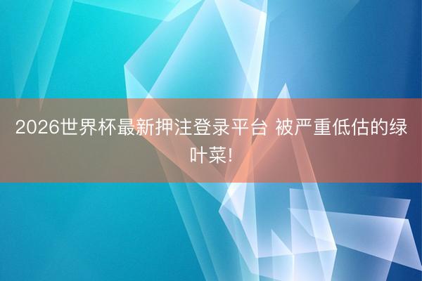 2026世界杯最新押注登录平台 被严重低估的绿叶菜!