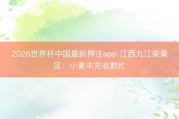 2026世界杯中国最新押注app 江西九江柴桑区：小麦丰充收割忙