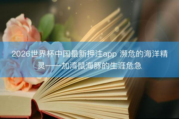 2026世界杯中国最新押注app 濒危的海洋精灵——加湾鼠海豚的生涯危急