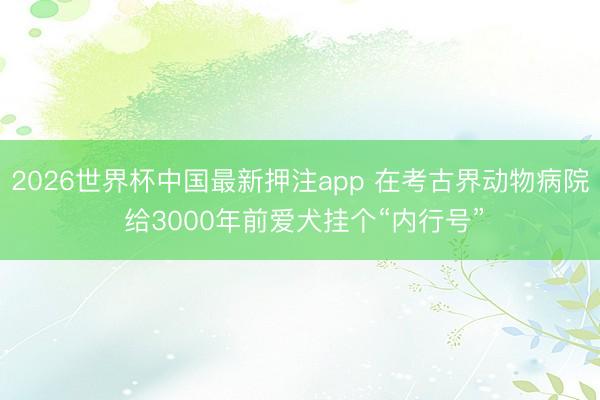 2026世界杯中国最新押注app 在考古界动物病院 给3000年前爱犬挂个“内行号”