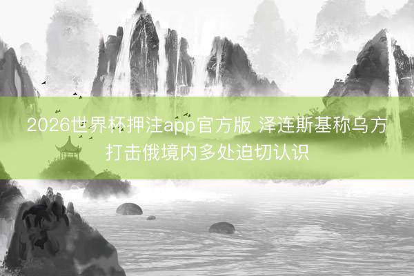 2026世界杯押注app官方版 泽连斯基称乌方打击俄境内多处迫切认识
