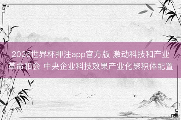 2026世界杯押注app官方版 激动科技和产业革命和会 中央企业科技效果产业化聚积体配置