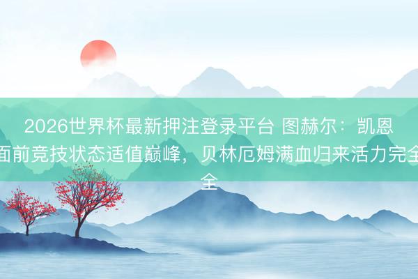 2026世界杯最新押注登录平台 图赫尔：凯恩面前竞技状态适值巅峰，贝林厄姆满血归来活力完全