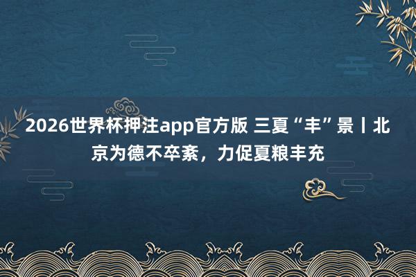 2026世界杯押注app官方版 三夏“丰”景丨北京为德不卒紊，力促夏粮丰充